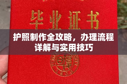 博兴护照制作全攻略，办理流程详解与实用技巧